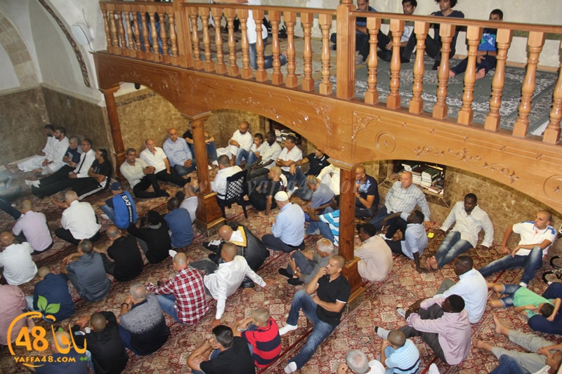 3ed ad7a mahmoudaia (13).JPG